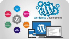 WordPress Development